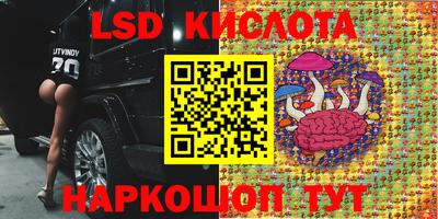 прущие грибы Нарткала