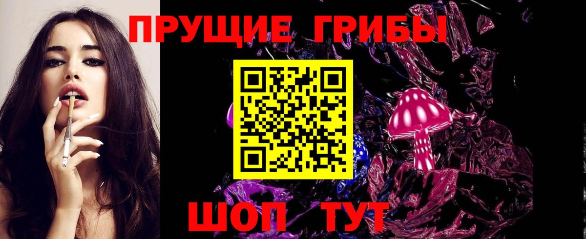 Хабаровск  Галлюциногенные грибы Psilocybe  Вход с VPN 